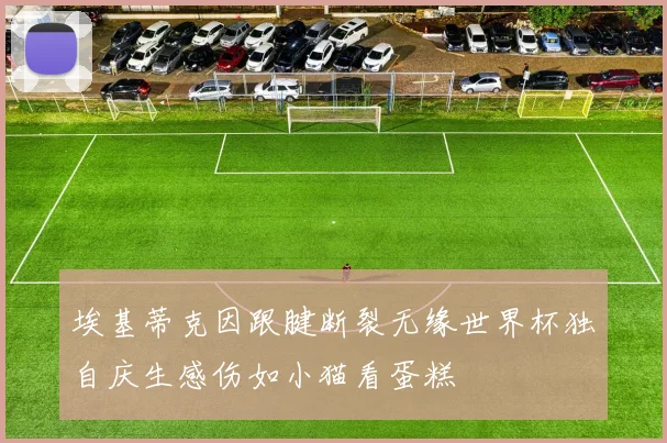 埃基蒂克因跟腱断裂无缘世界杯独自庆生感伤如小猫看蛋糕